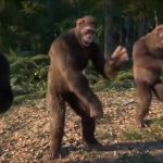 Dancing monkeys meme template
