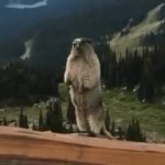 screaming gopher meme template