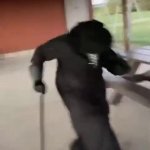 Plague Doctor Gangsta's Paradise meme template