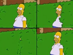 HOMER BUSH meme template