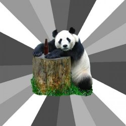 Pickup Line Panda meme template