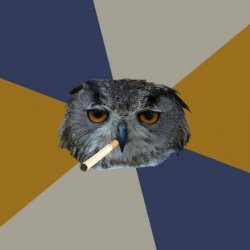 Art Student Owl meme template