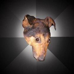 Depression Dog meme template