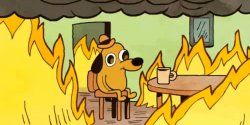 Dog on fire meme template