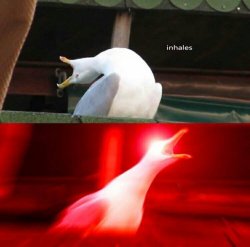 Inhaling Seagull meme template