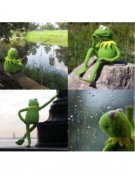 blank kermit waiting meme template