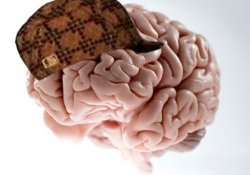 Scumbag Brain meme template