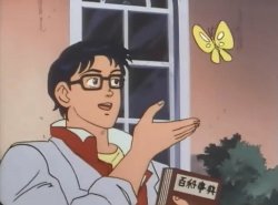 Is this a bird? meme template