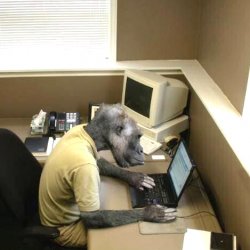 Monkey Business meme template