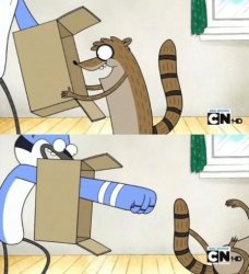 Mordecai Punches Rigby Through a Box meme template