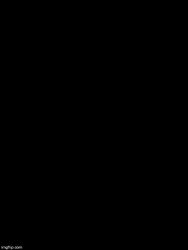 Double Long Black Template meme template