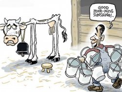 milking the cow meme template