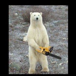 Chainsaw Bear meme template