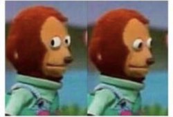 side eye teddy meme template