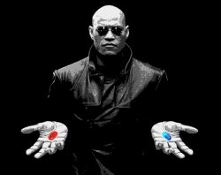 morpheus matrix blue pill red pill meme template