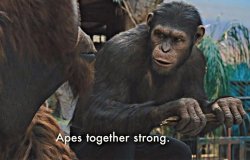 Apes Together Strong meme template