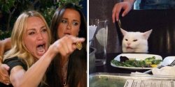 Smudge the cat meme template