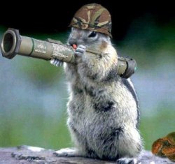 Bazooka Squirrel meme template
