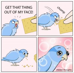 Bird Cracker meme template