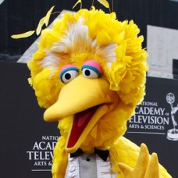 Big Bird meme template