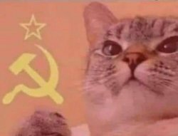 Communist cat meme template