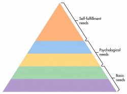 Maslow's Hierarchy of Needs meme template