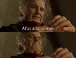 After all.. why not? meme template