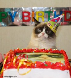 Grumpy Cat Birthday meme template