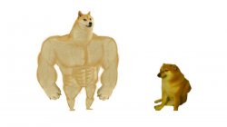Dodge chad vs virgin meme template