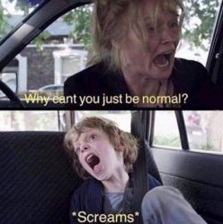 Why Can't You Just Be Normal meme template