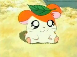 Hamtaro meme template