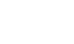 white background meme template