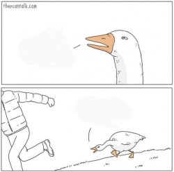 Angry goose meme template