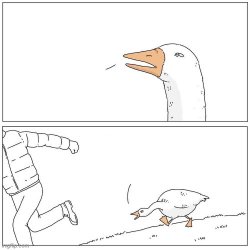 Goose Chase meme template