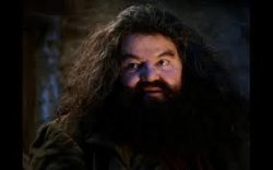 hagrid yer a wizard meme template