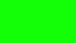 Green Background or whatever meme template