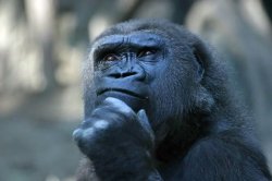 Deep Thoughts meme template