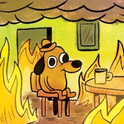 Dog in burning house meme template