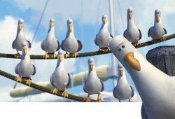 Finding Nemo Seagulls meme template