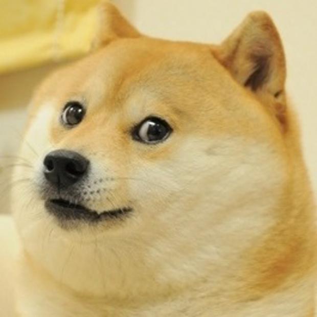 Shiba Inu doge meme such wow