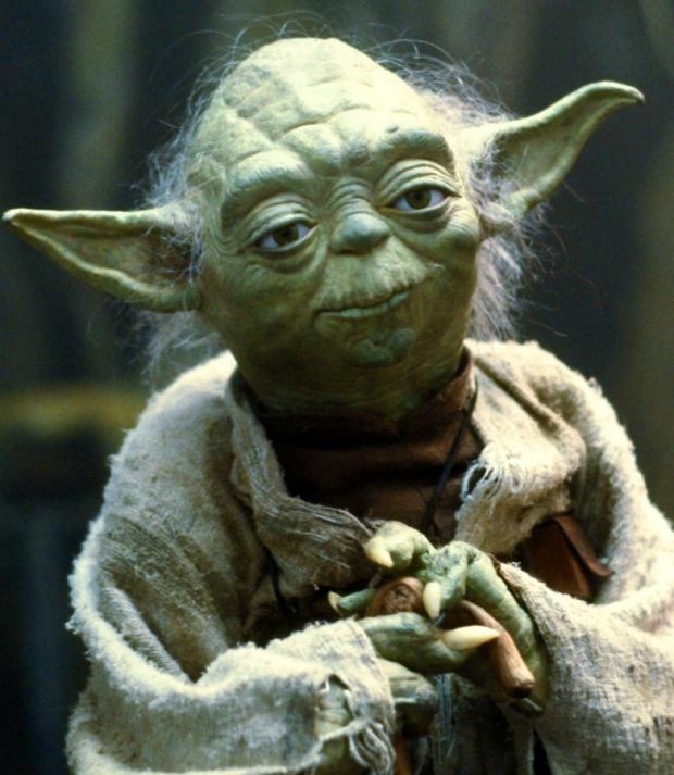 Yoda giving advice Star Wars meme